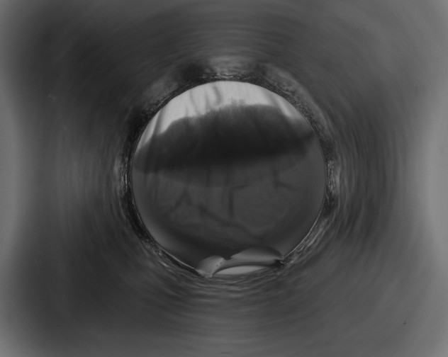 X0000086730471200705111618