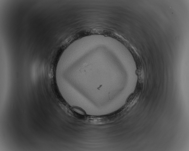 X0000086730472200705111618