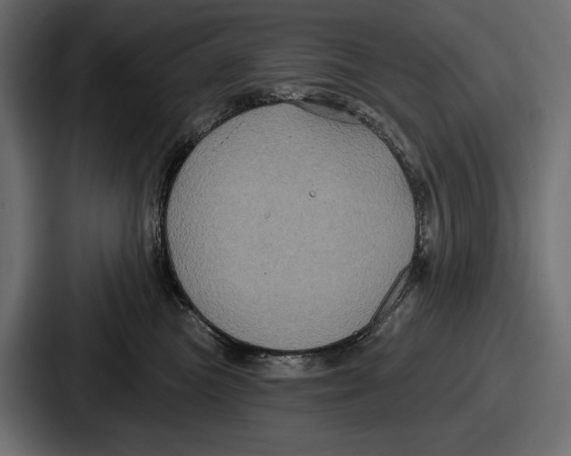 X0000086730473200705111618