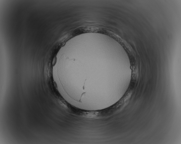 X0000086730474200705111618