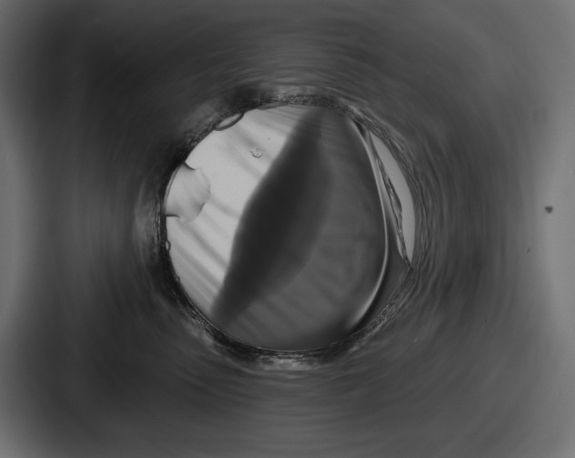 X0000086730475200705111618