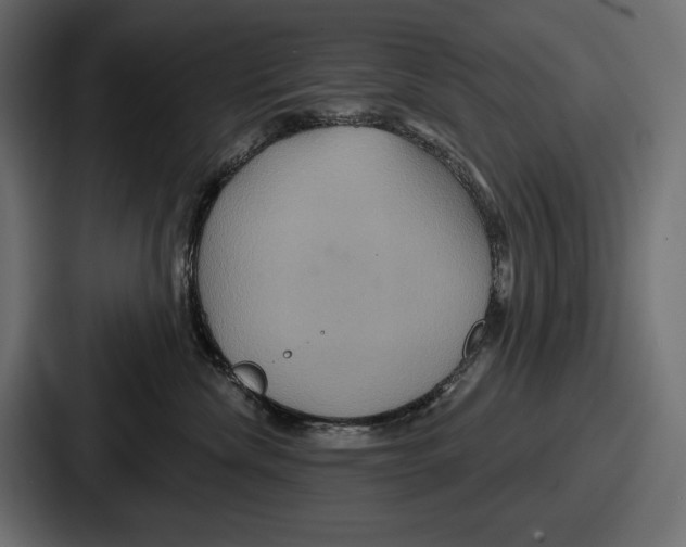X0000086730476200705111618