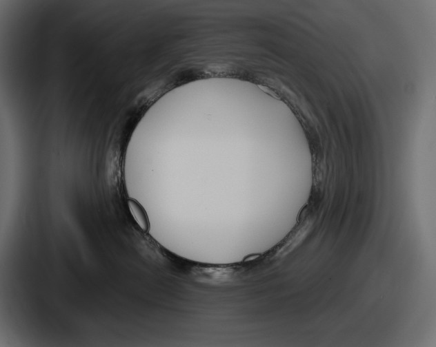 X0000086730478200705111618