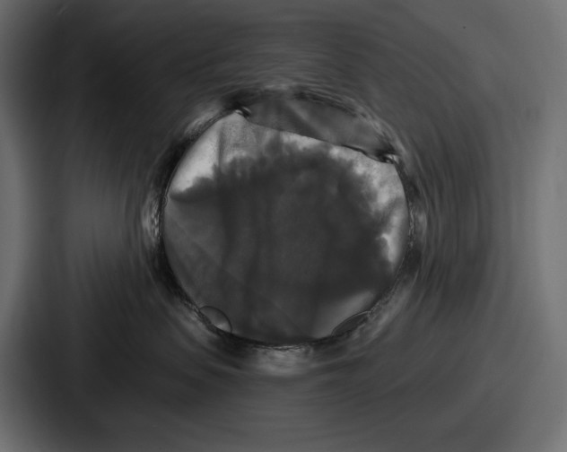 X0000086730479200705111618