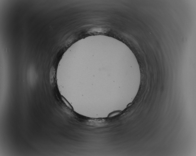 X0000086730480200705111618