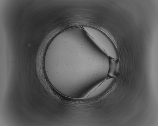 X0000086730481200705111618