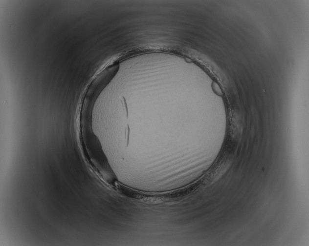 X0000086730482200705111618