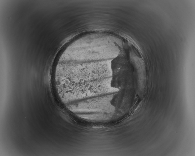 X0000086730483200705111618