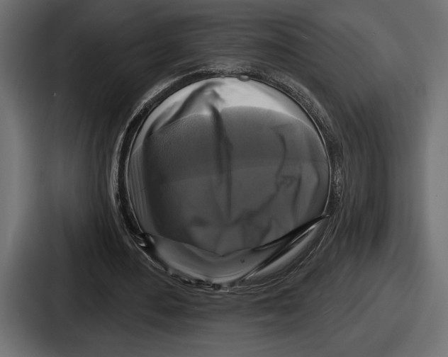 X0000086730484200705111618