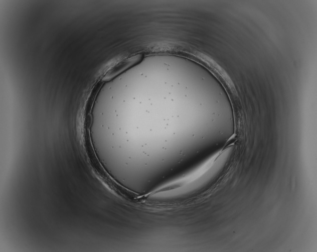 X0000086730485200705111618