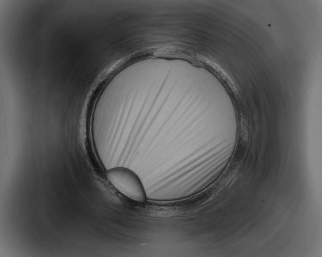 X0000086730486200705111618