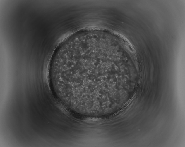 X0000086730487200705111618