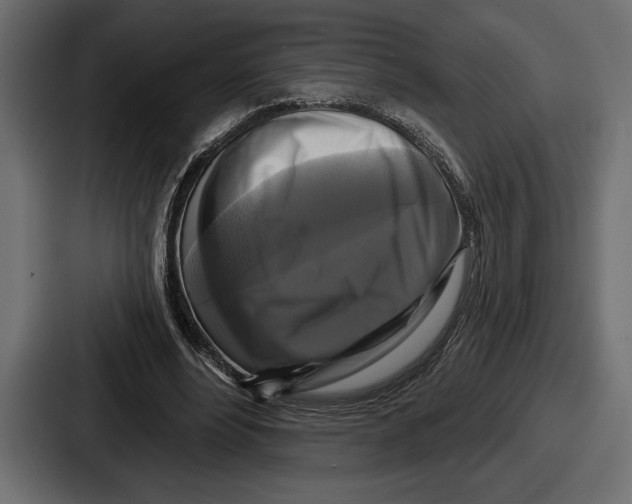 X0000086730488200705111618