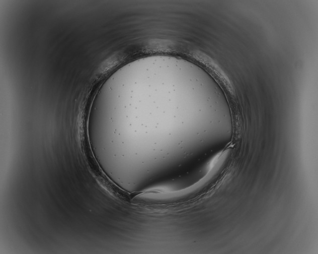 X0000086730489200705111618