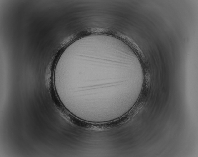 X0000086730490200705111618