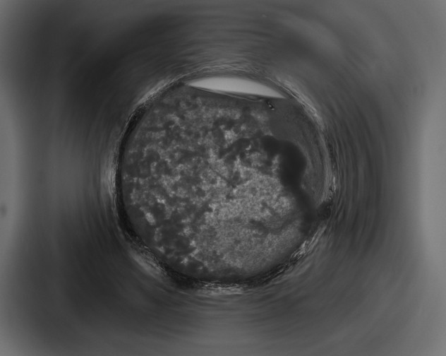 X0000086730491200705111618