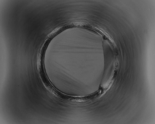 X0000086730492200705111618