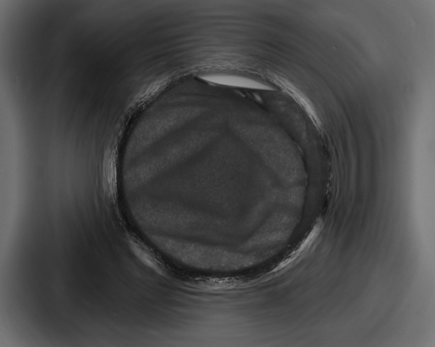 X0000086730493200705111618