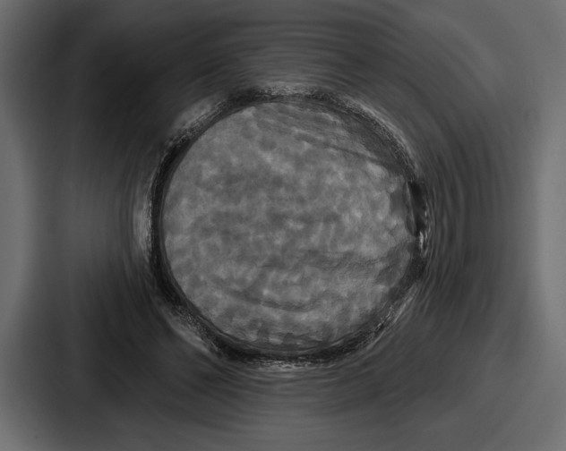 X0000086730494200705111618