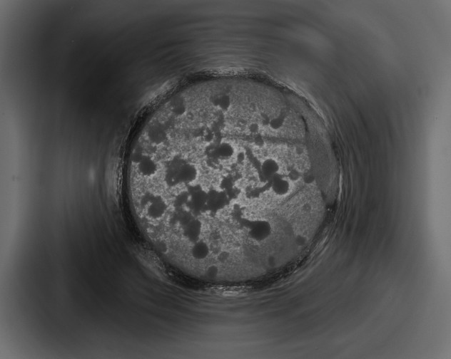 X0000086730495200705111618