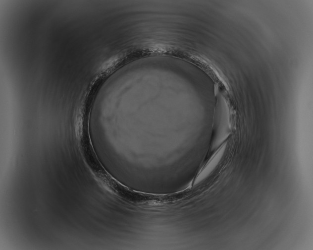 X0000086730496200705111618