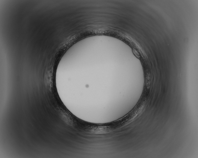 X0000086730497200705111618