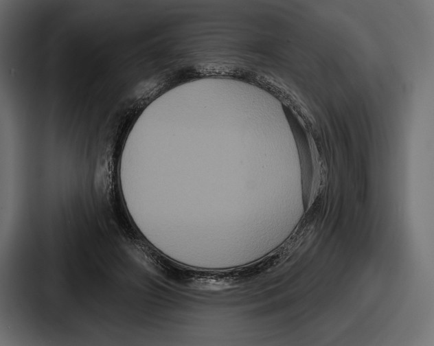 X0000086730498200705111618
