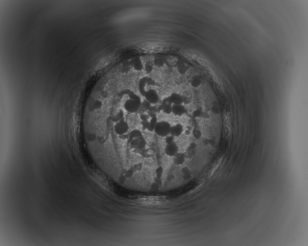 X0000086730499200705111618