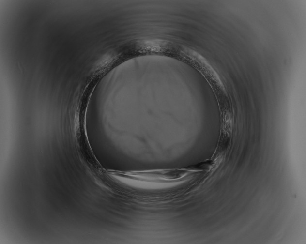 X0000086730500200705111617