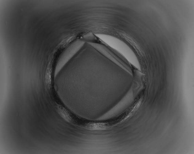X0000086730501200705111617