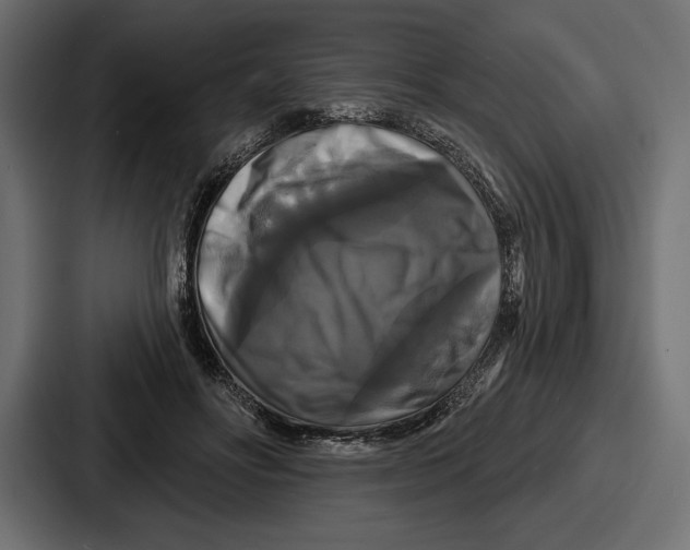 X0000086730502200705111617
