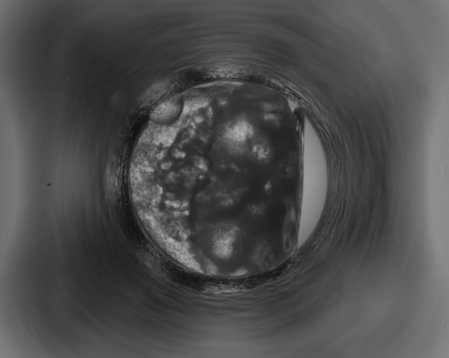 X0000086730503200705111617