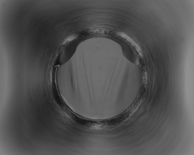 X0000086730504200705111617