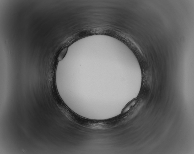 X0000086730505200705111617