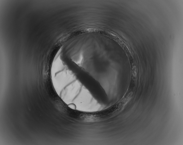 X0000086730507200705111617