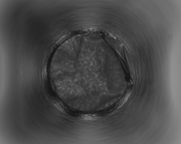 X0000086730508200705111617
