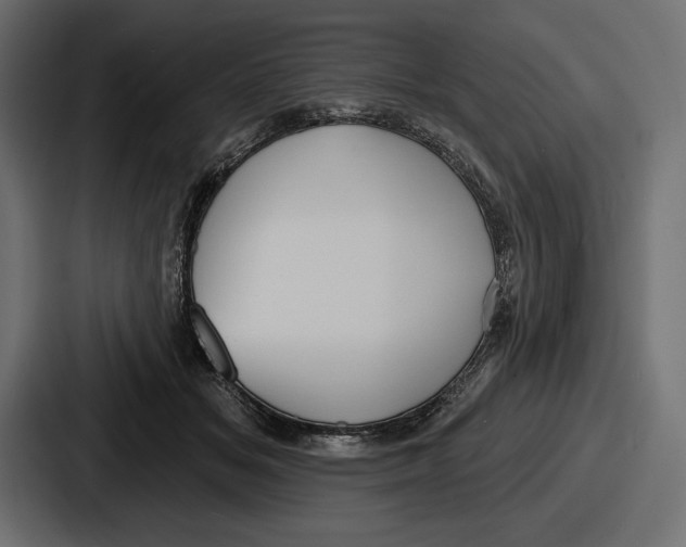 X0000086730509200705111617