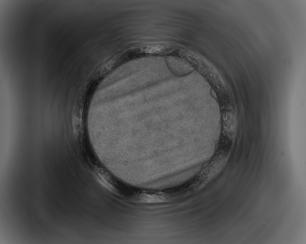X0000086730510200705111617