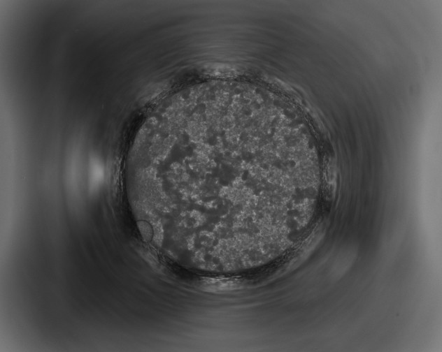 X0000086730511200705111617