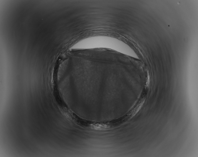 X0000086730512200705111617