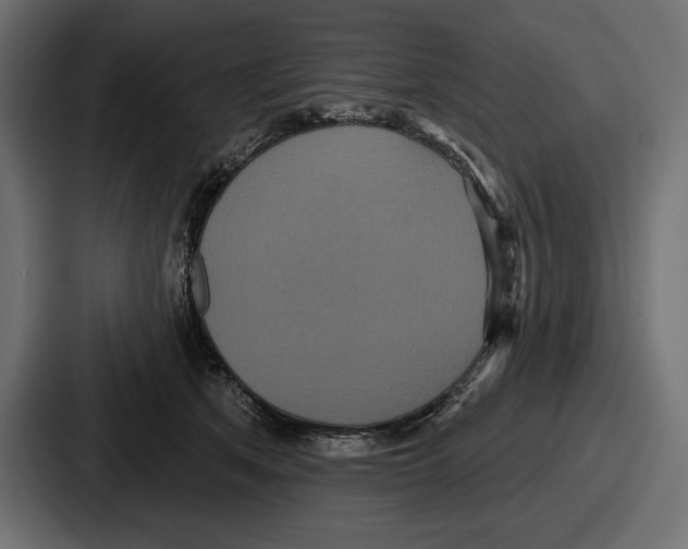 X0000086730513200705111617