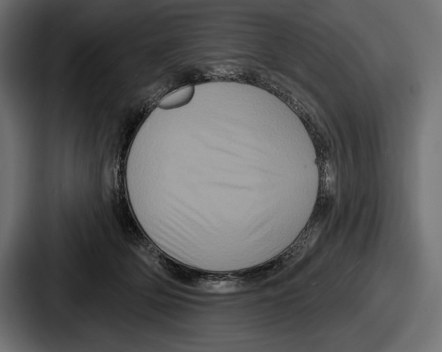 X0000086730514200705111617