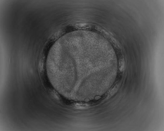 X0000086730515200705111617