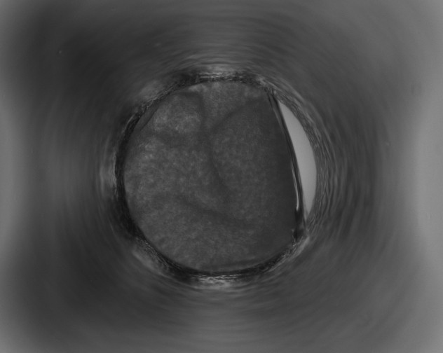 X0000086730516200705111617