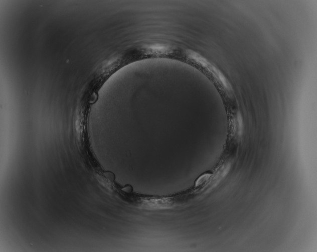 X0000086730517200705111617