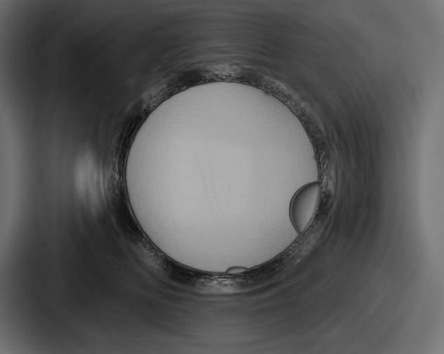 X0000086730518200705111617