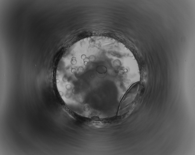 X0000086730519200705111617