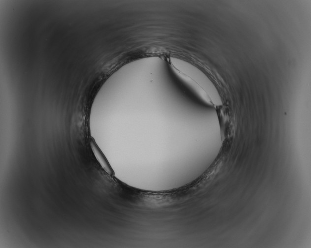 X0000086730521200705111617