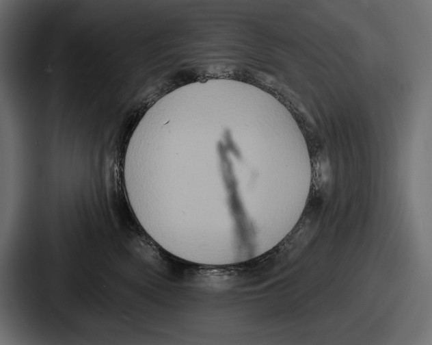 X0000086730522200705111617