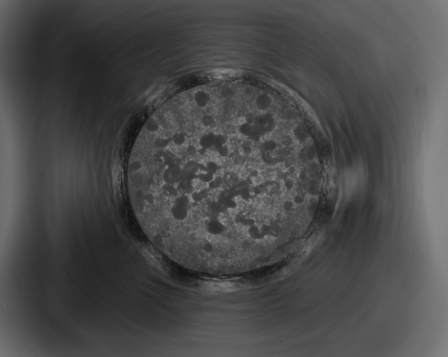 X0000086730523200705111617